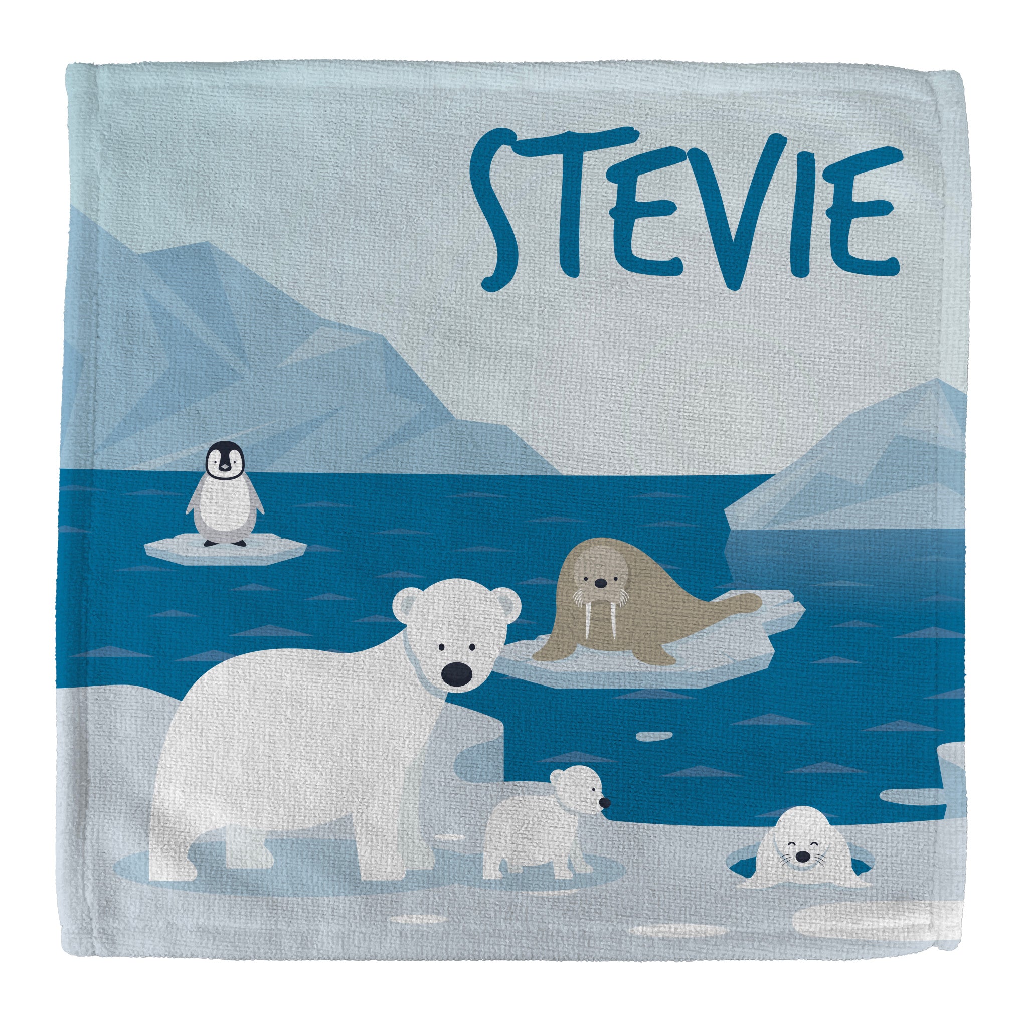 Personalised Children's Face Cloth - Arctic