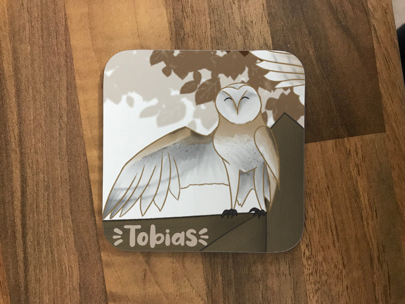 Personalised Children's Coasters - Owls